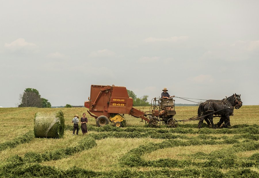 Agriculture
